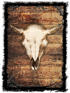 Distressed Wood Picture of distressed wood with an ox skull